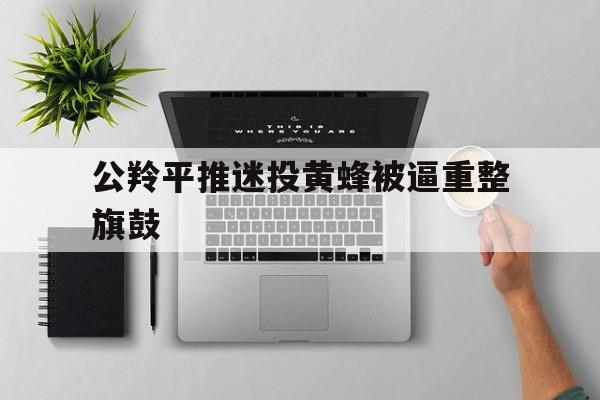公羚平推迷投黄蜂被逼重整旗鼓的简单介绍
